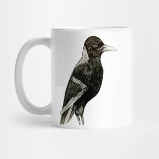 Young Australian Magpie Mug